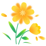 Top-Bundles zum Sparen