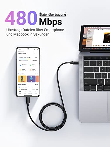 UGREEN 100W USB-C auf USB-C Ladekabel (2 Stück)